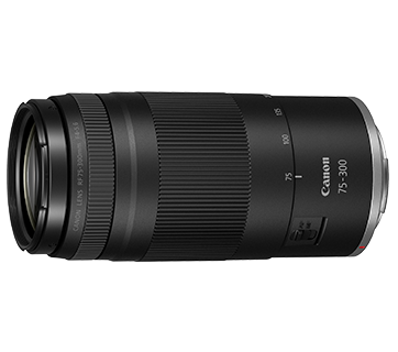 【B2177】 CANON EOS KISS X / 75-300 4-5.6 Cathay Photo | Canon RF 75-300mm f/4-5.6